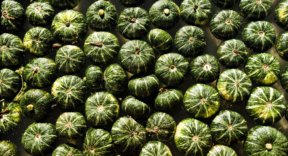post-harvest2